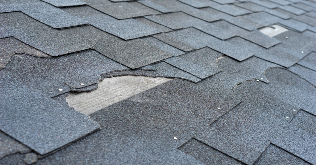 Roof Repair or Replacement in Albany Oregon