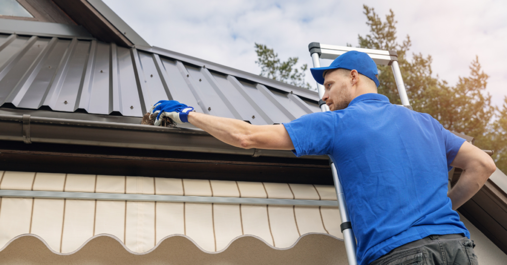 Spring Roofing and Attic Care in Oregon