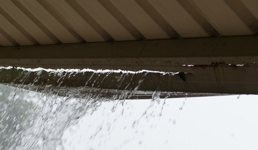 Maximizing Your Gutters Before Oregon’s Rainy Season