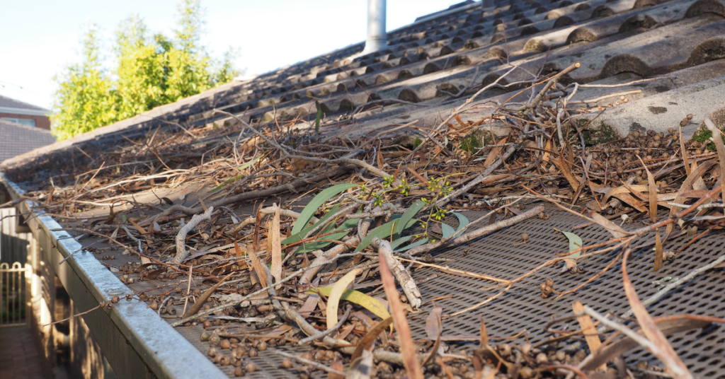 debris on roof in oregon