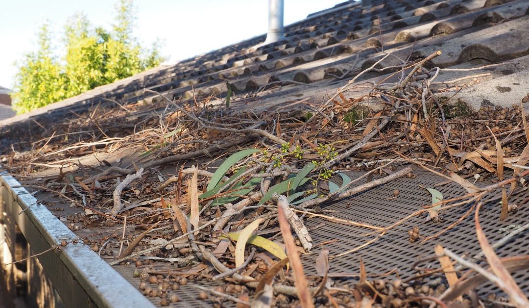 The Impact of Tree Debris on Your Roof and How to Manage It