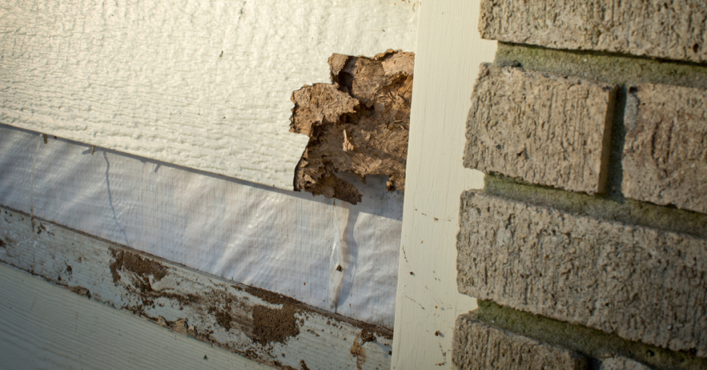 winter siding preparations