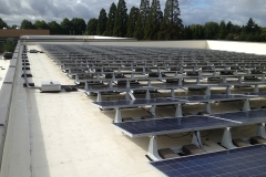 Flat roof solar panels albany or